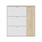 Zapatero Class 4 puertas (24 pares) roble canadian/blanco Zapatero Class 4 puertas (24 pares) roble canadian/blanco