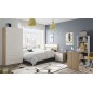 Armario 2 puertas 2 cajones Low cost, en roblecanadian/blanco artik Armario 2 puertas 2 cajones Low cost, en roblecanadian/blanco artik