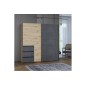 Armario Tokio De Correderas Artisan - Gris 170x201 Armario Tokio De Correderas Artisan - Gris 170x201