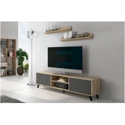 Modulo tv con dos estantes