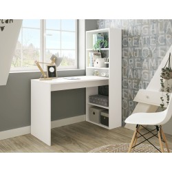 MESA ESTUDIO+ESTANTERIA MODELO GIO PLUS , EN VARIOS COLORES