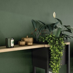 Salon Poly Pody artisan y roble negro