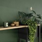 Salon con vitrina Poly Pody artisan y roble negro