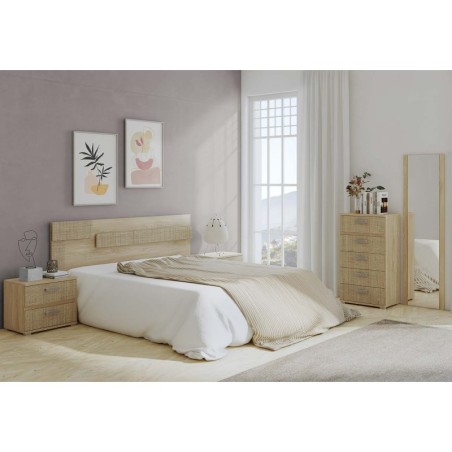 Dormitorio completo modelo córdoba con xinfonier y mural
